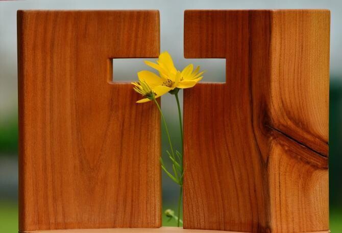 cruce lemn si floare